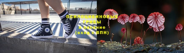 СК Алзамай