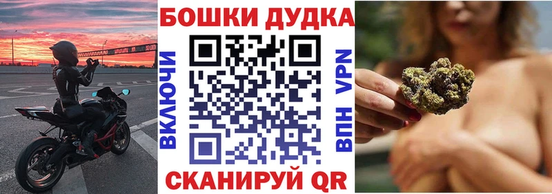 закладка  Губкин  Бошки марихуана THC 21% 